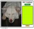 Pet Puzzle Pet Puzzle