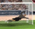 On The Volley On The Volley
